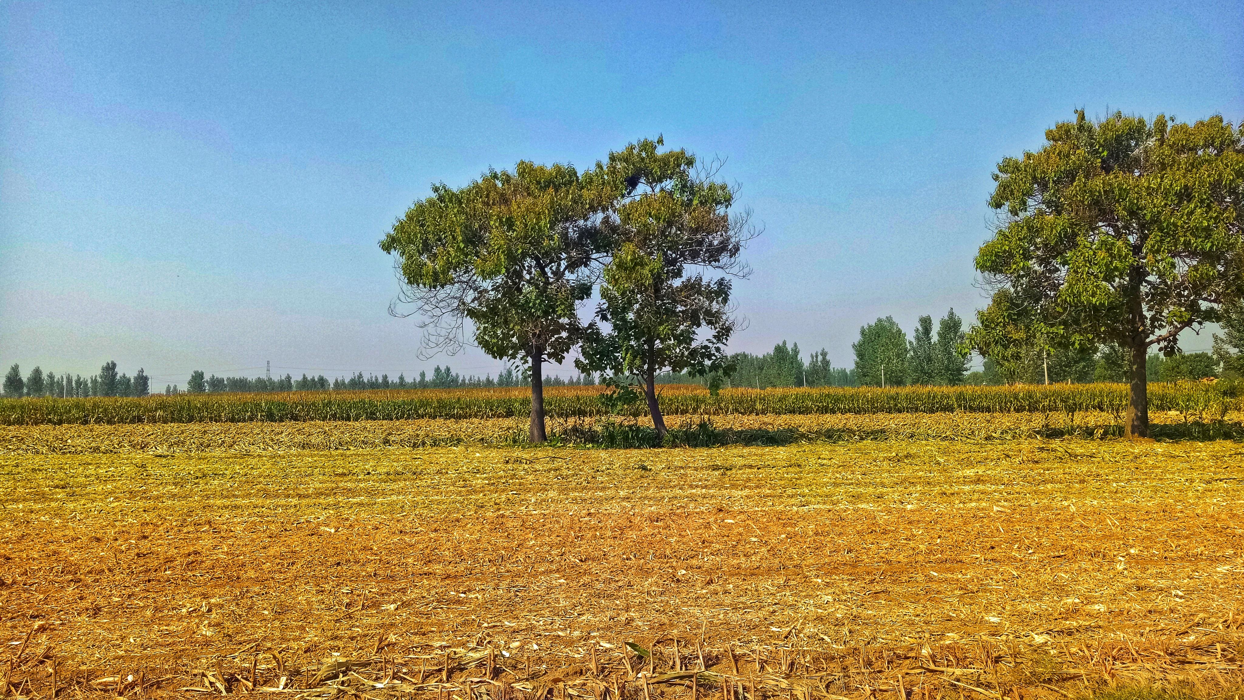 难忘家乡那一抹醉人的夕阳红