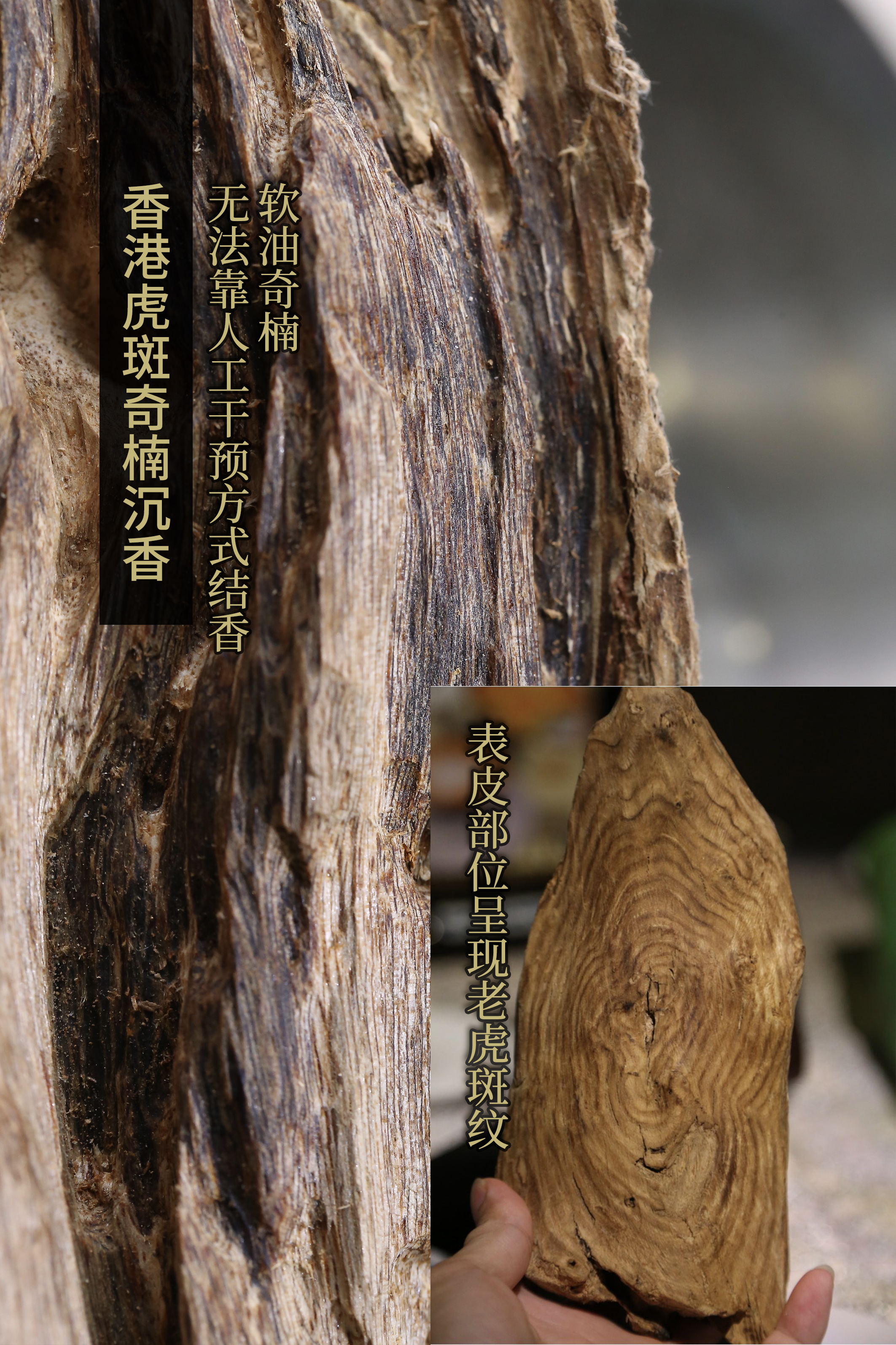 越南黑奇楠沉香微距,奇楠沉香的收藏方法