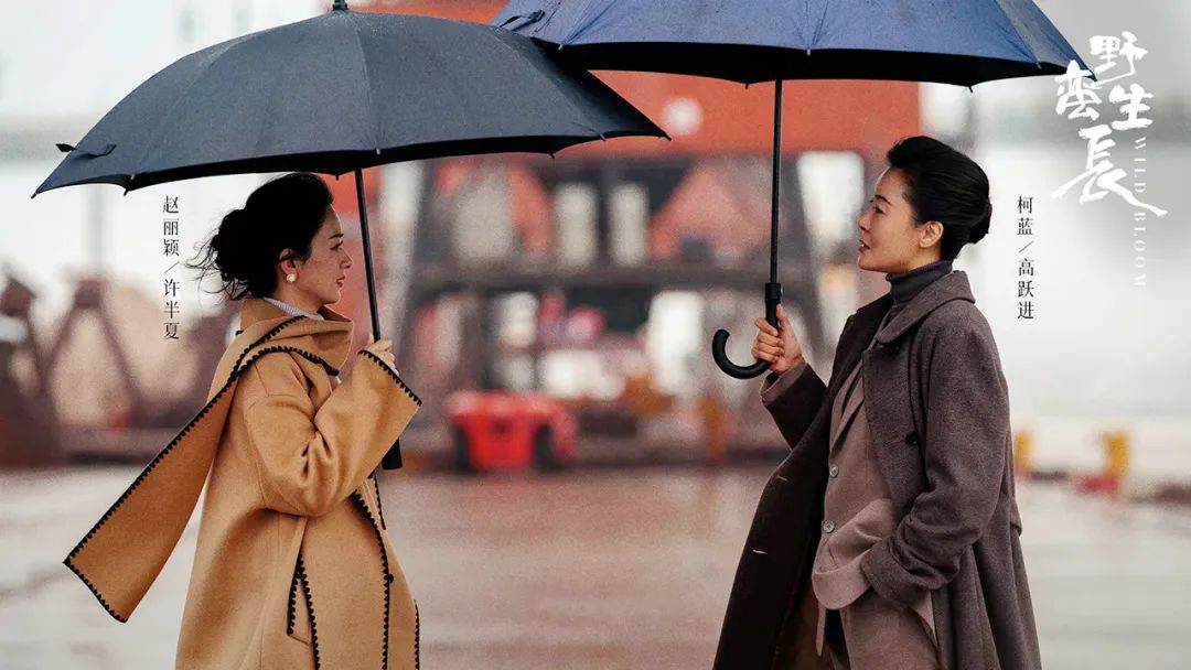 赵丽颖dior红色丝绒连衣裙,谁说赵丽颖没有少女感的