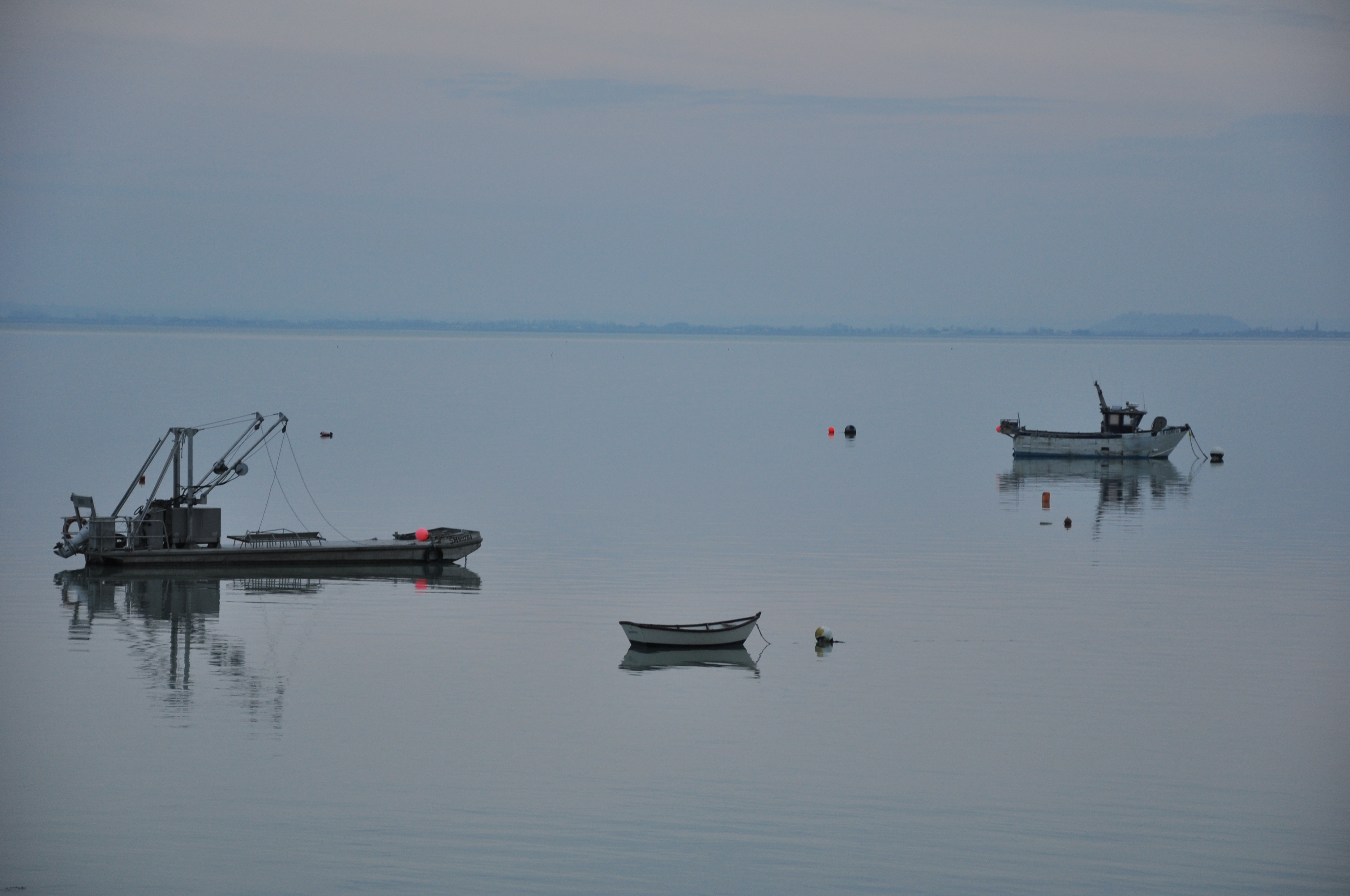 生蚝之都康卡勒：凯撒大帝太阳王拿破仑三世青睐，美味流传两千年