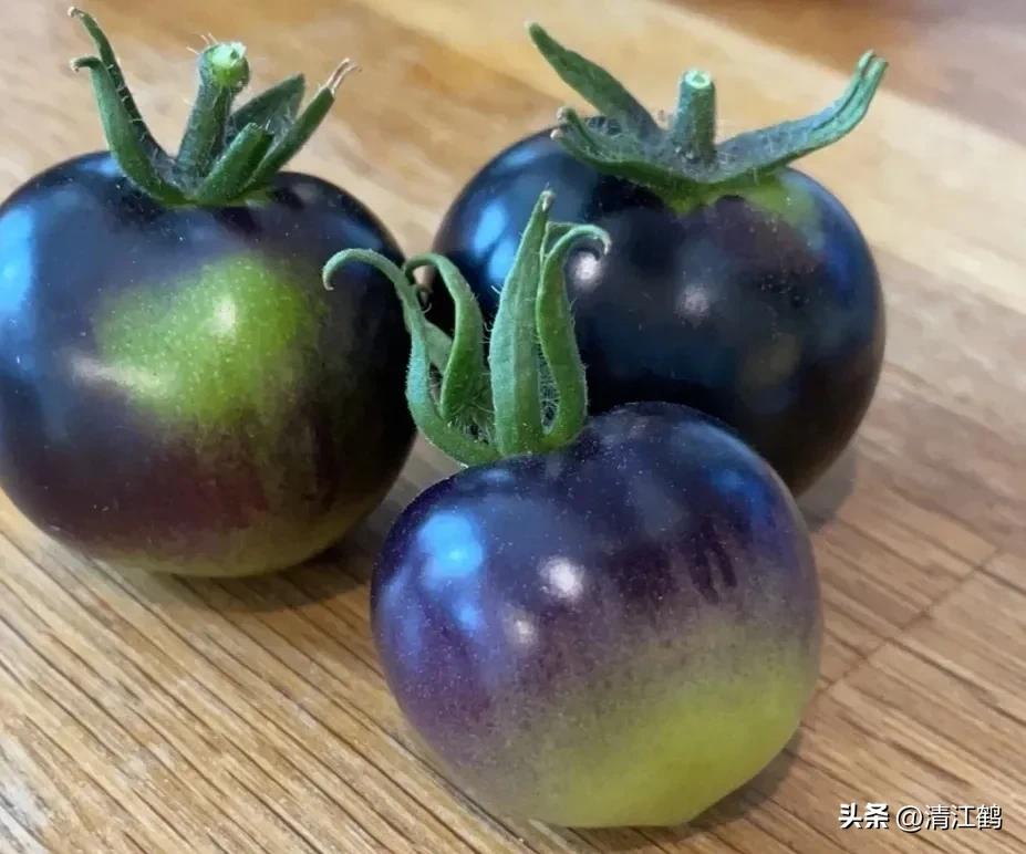 番茄转色不良用什么肥,番茄转色的六种表现