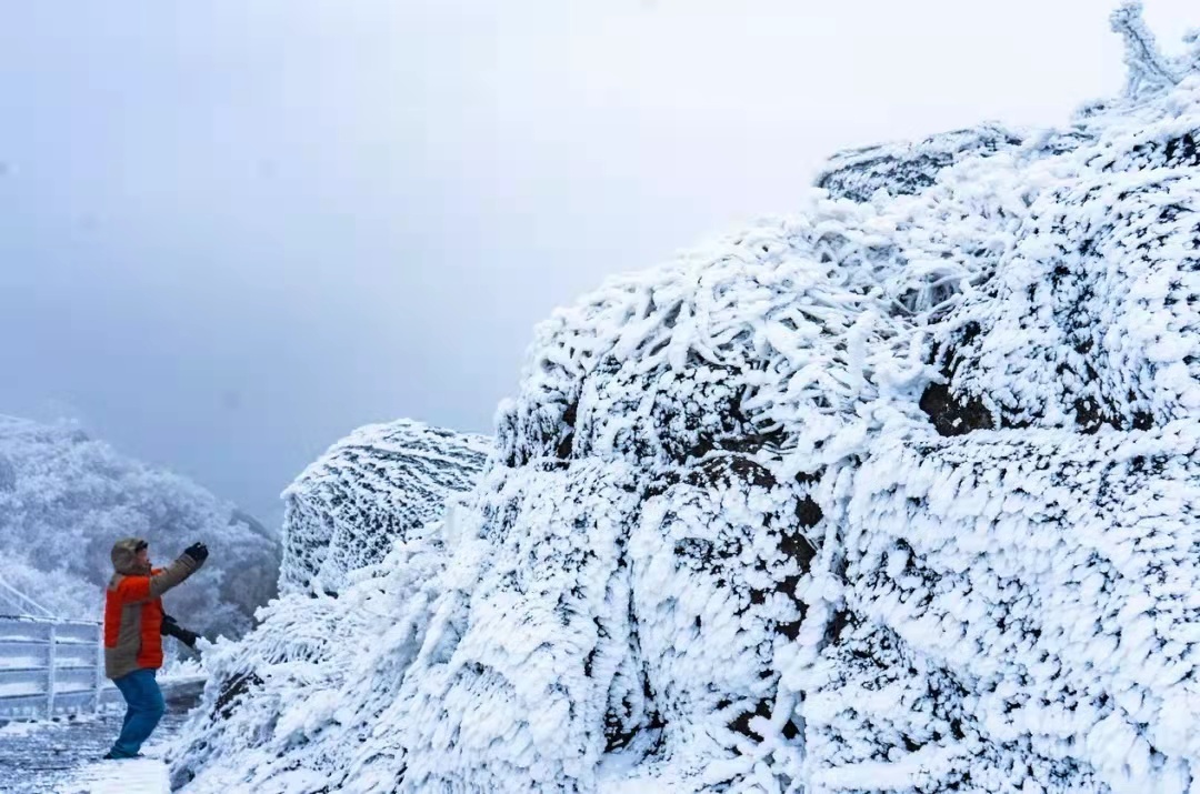 2021连州金子山雾凇观赏时间,广州金子山雾凇