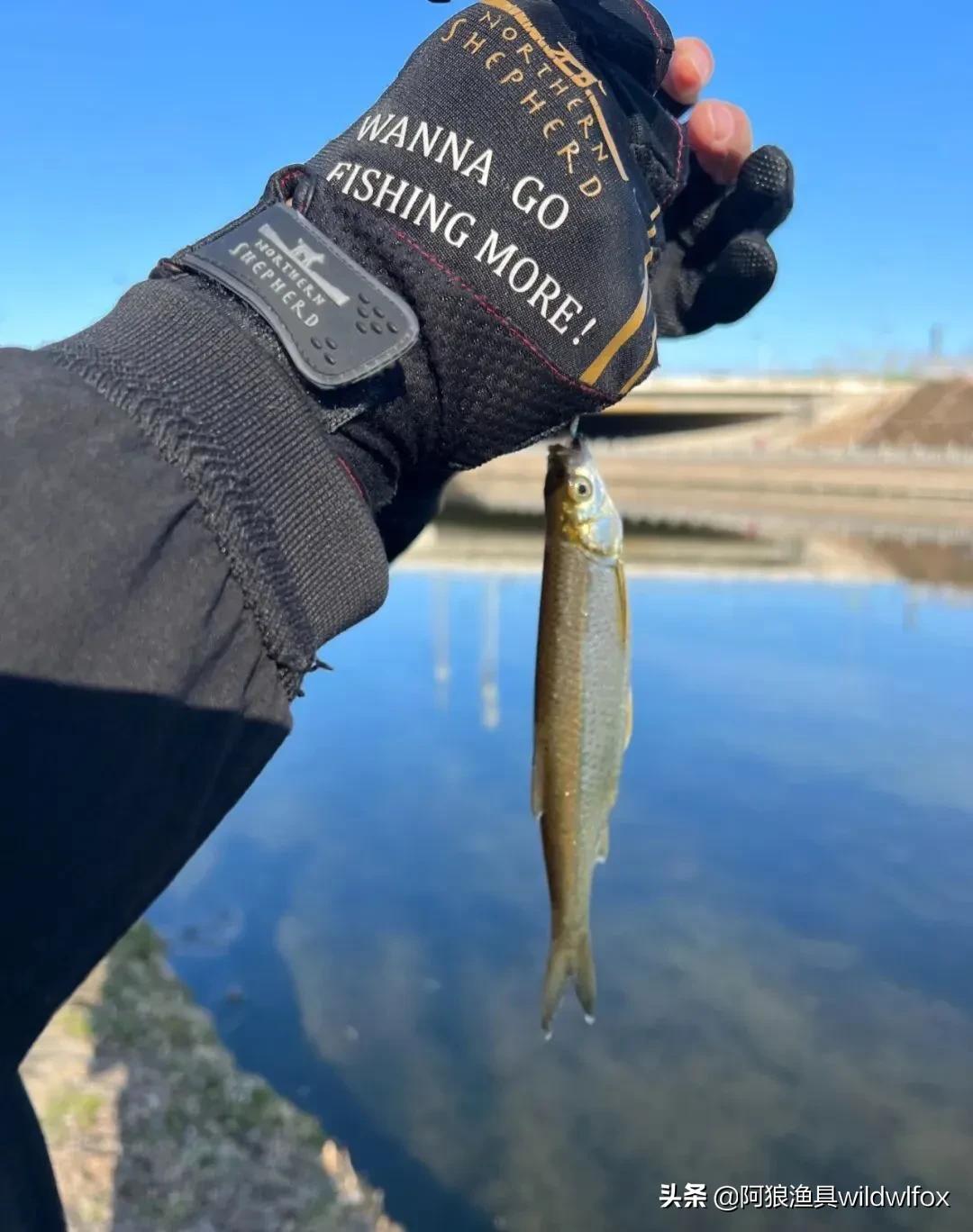 路亚控饵技巧视频,路亚控饵手法教程