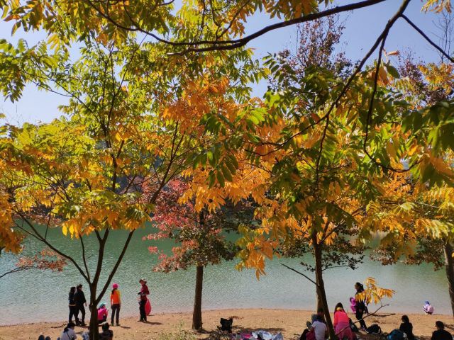 杭州周边赏秋好去处,杭州赏秋最佳攻略