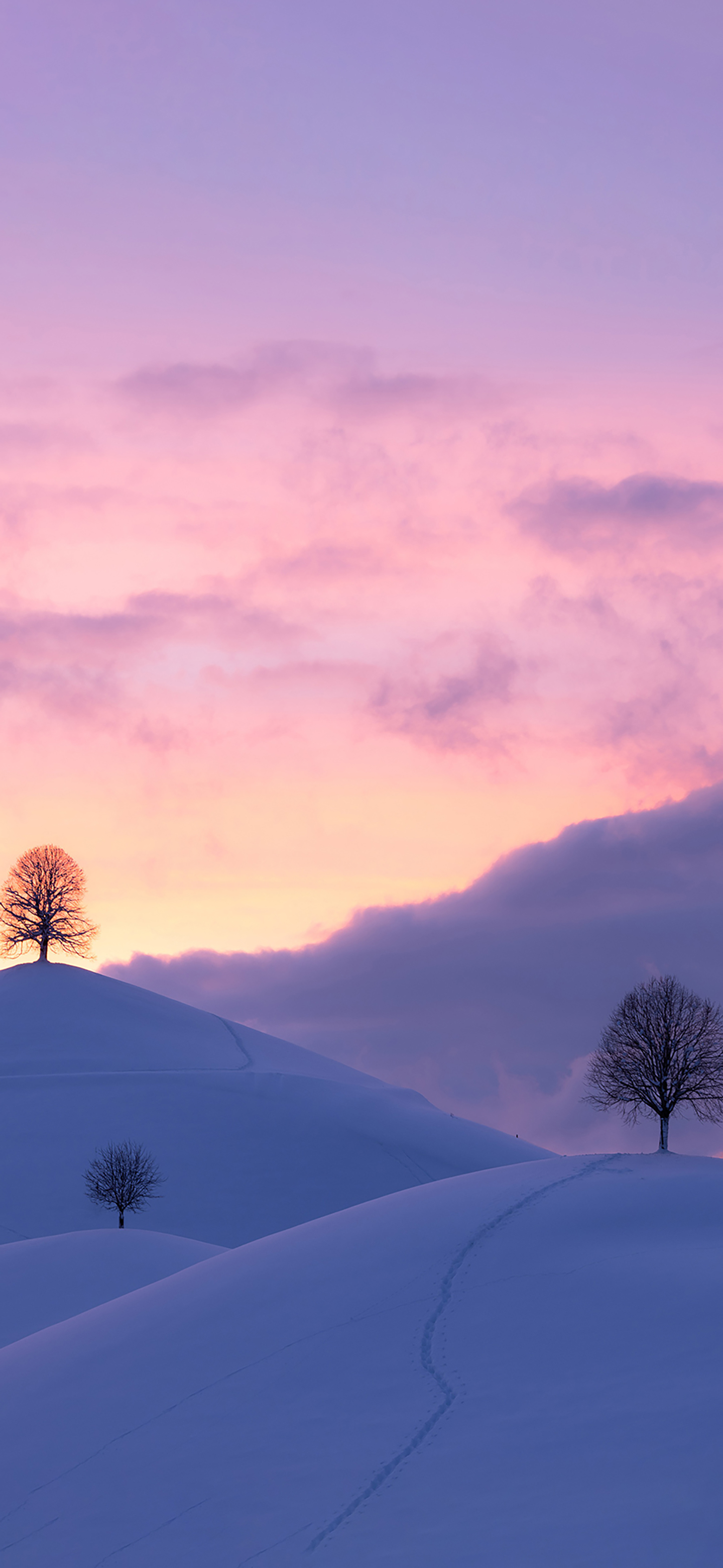 大海大自然风景壁纸,壁纸风景动态大自然