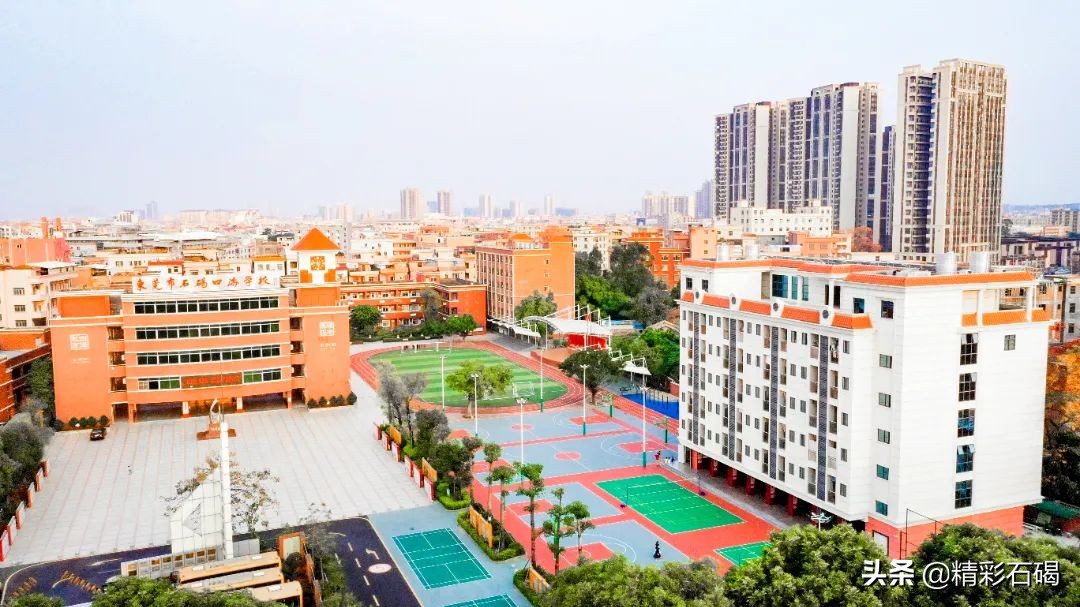 选择石碣四海，成就孩子未来