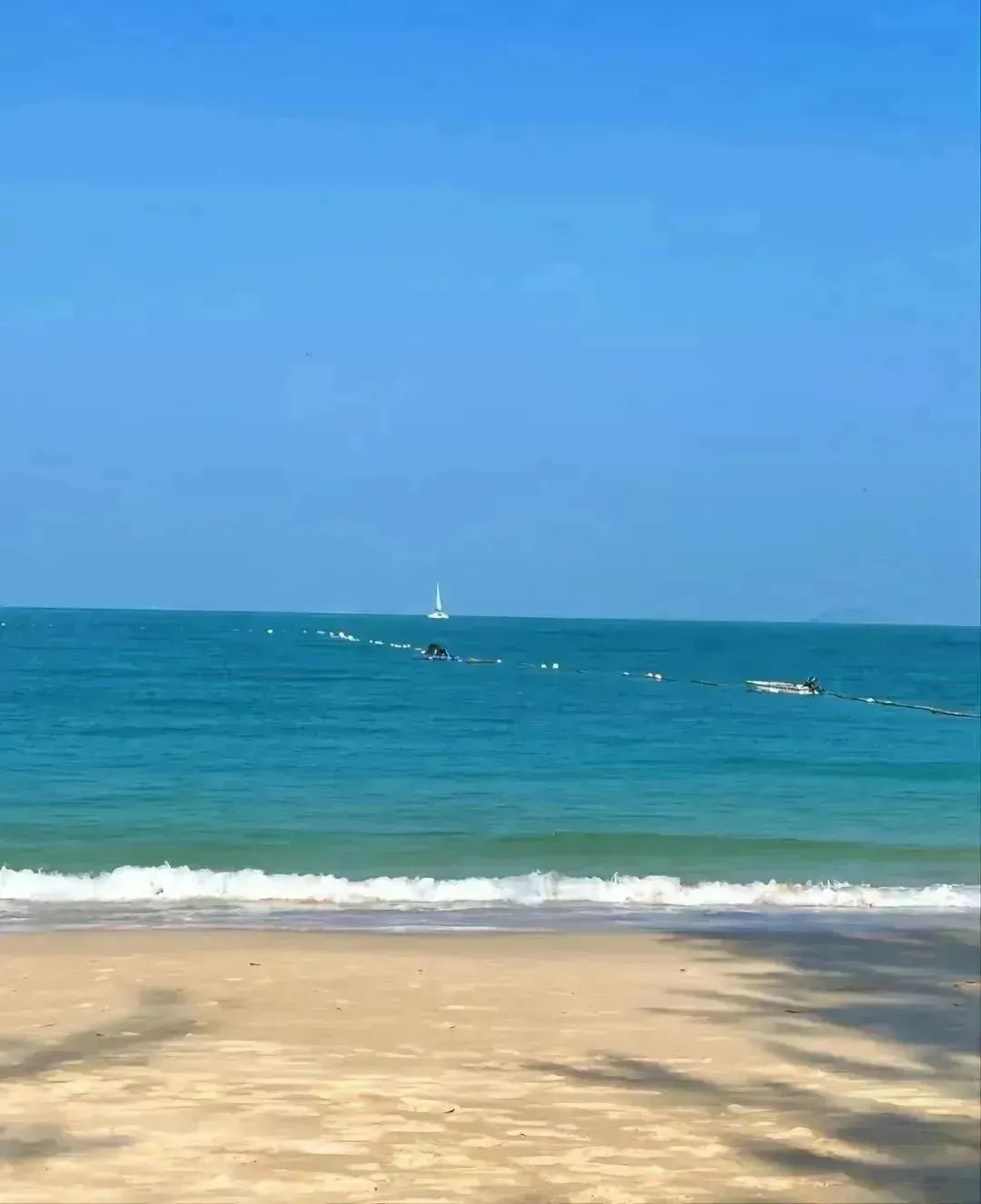 深圳市荔枝公园一日游,深圳2天1夜旅行攻略