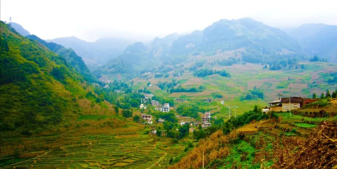 中药材种植基地如何打造,怎样申请中药材种植基地