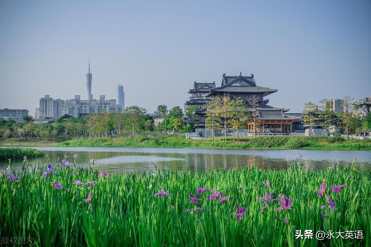 思维能力视角下的英语阅读教学,深度学习视角下的英语阅读教学
