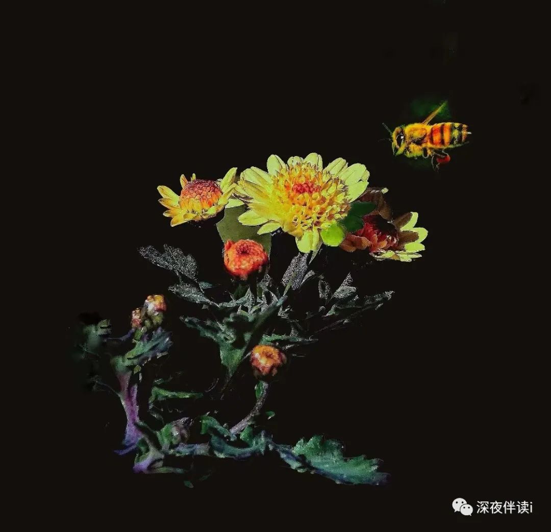 在这有可能的夜晚钢琴和弦,在有可能的夜晚