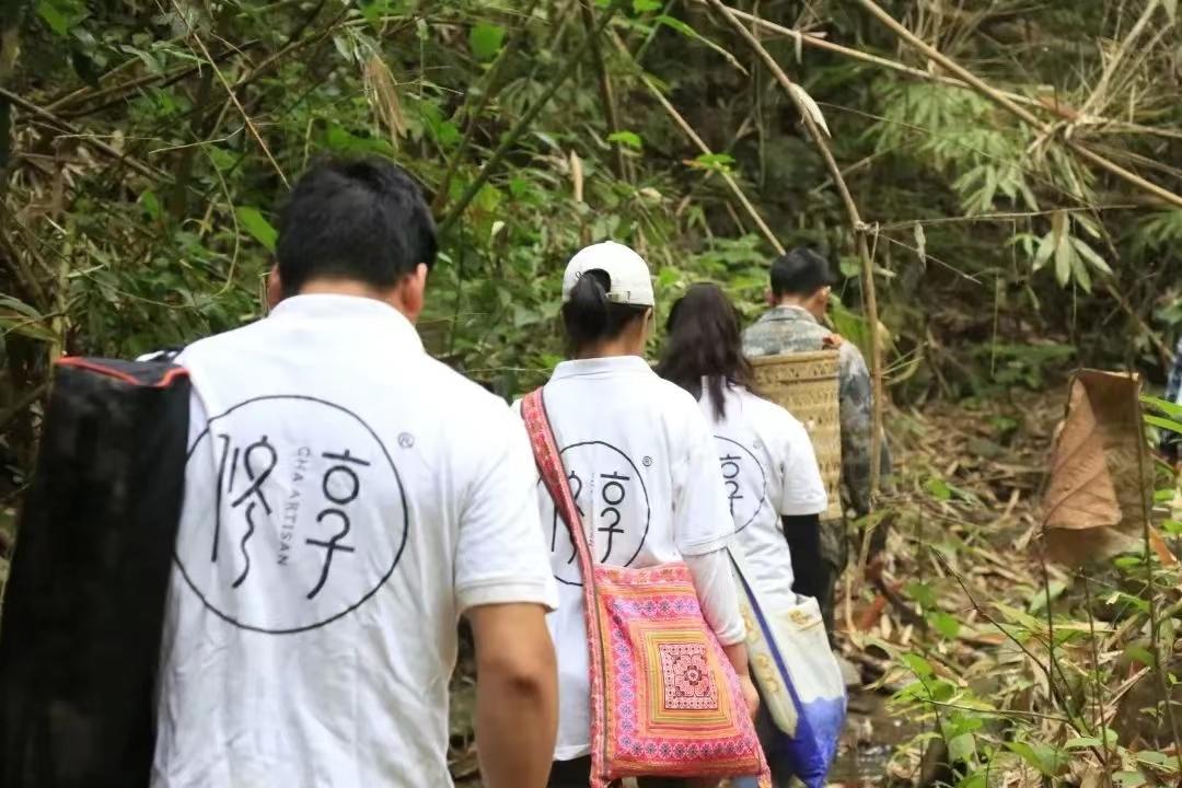 修享茶业钟海勇：以茶行修，打造中国茶文化的独特品牌之路