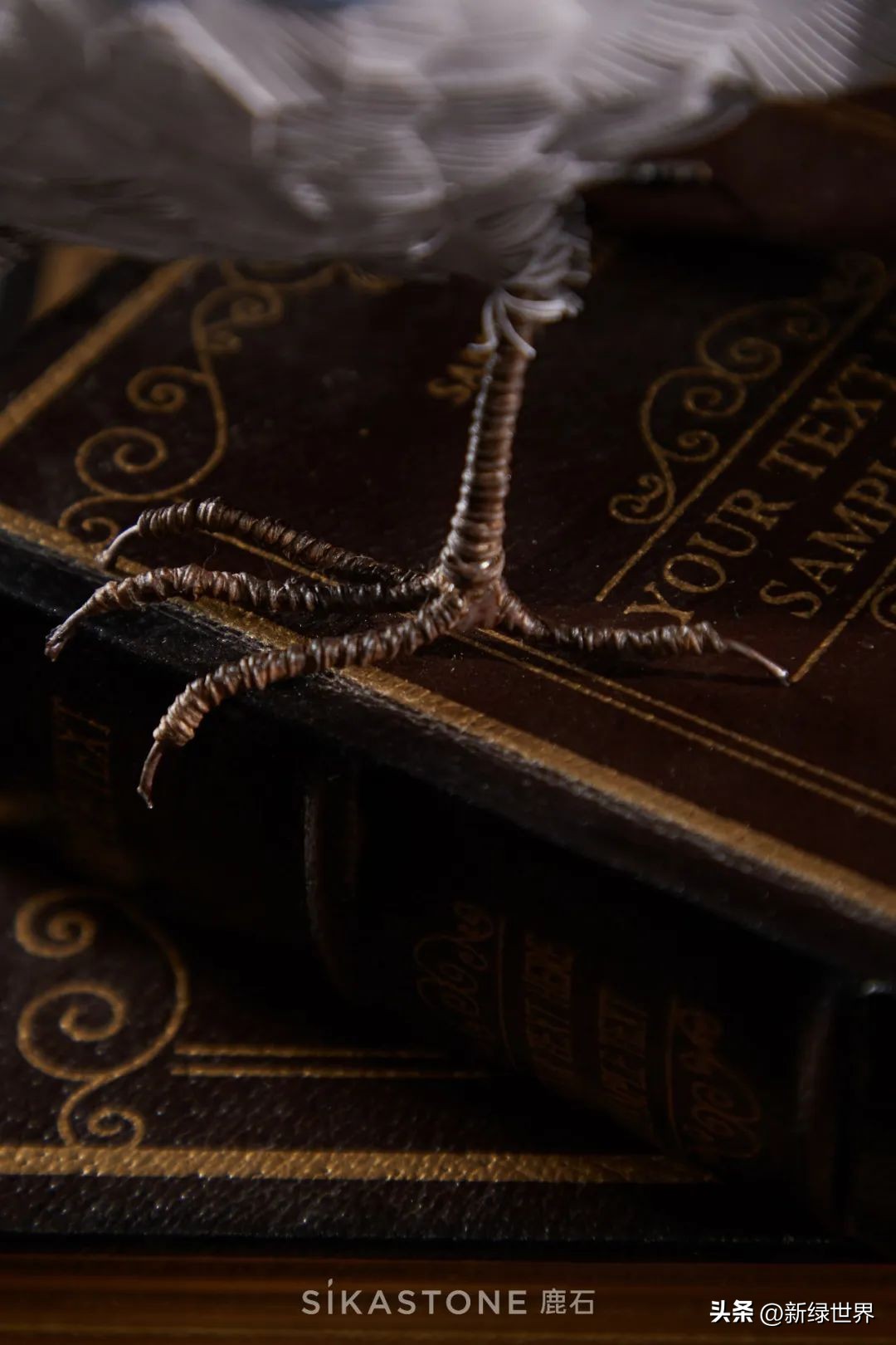 纸艺作品绘画,千变万化的纸艺术作品