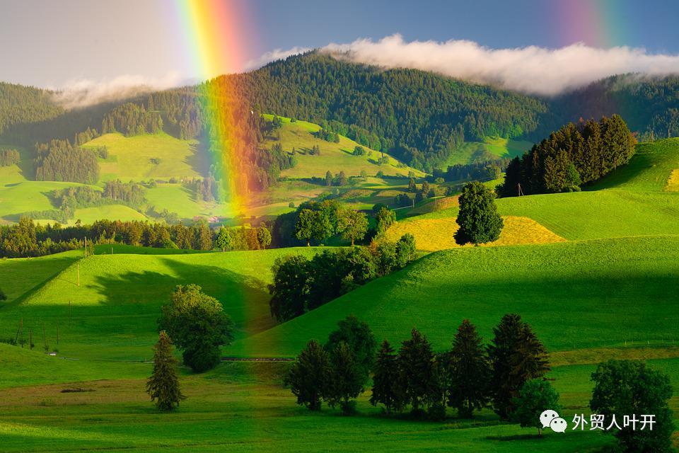 亚马逊关键词搜索软件,亚马逊怎么查找关键词广告