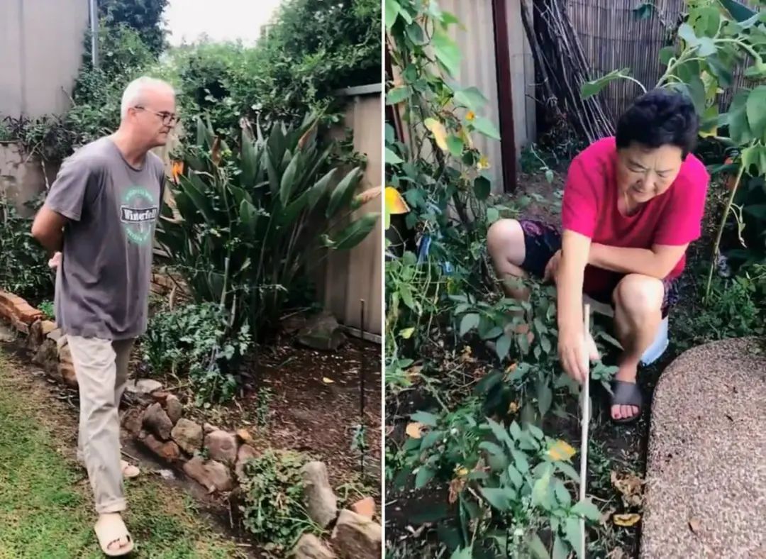 全自动阳台种菜神器,阳台立体种菜神器