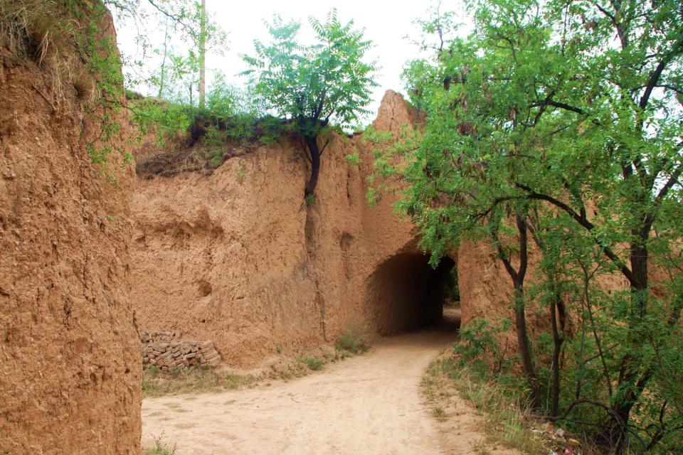 母亲再三叮嘱我回村不能开车，参加邻家婚宴后，终于明白其中奥秘