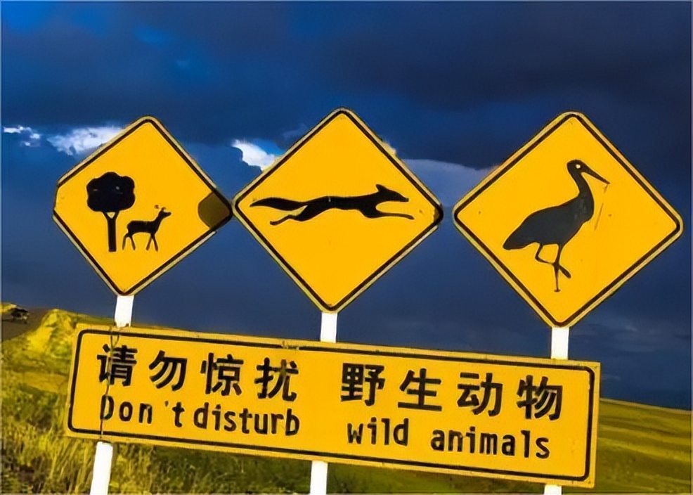 怪兽出没请避让,怪兽出没小心避让