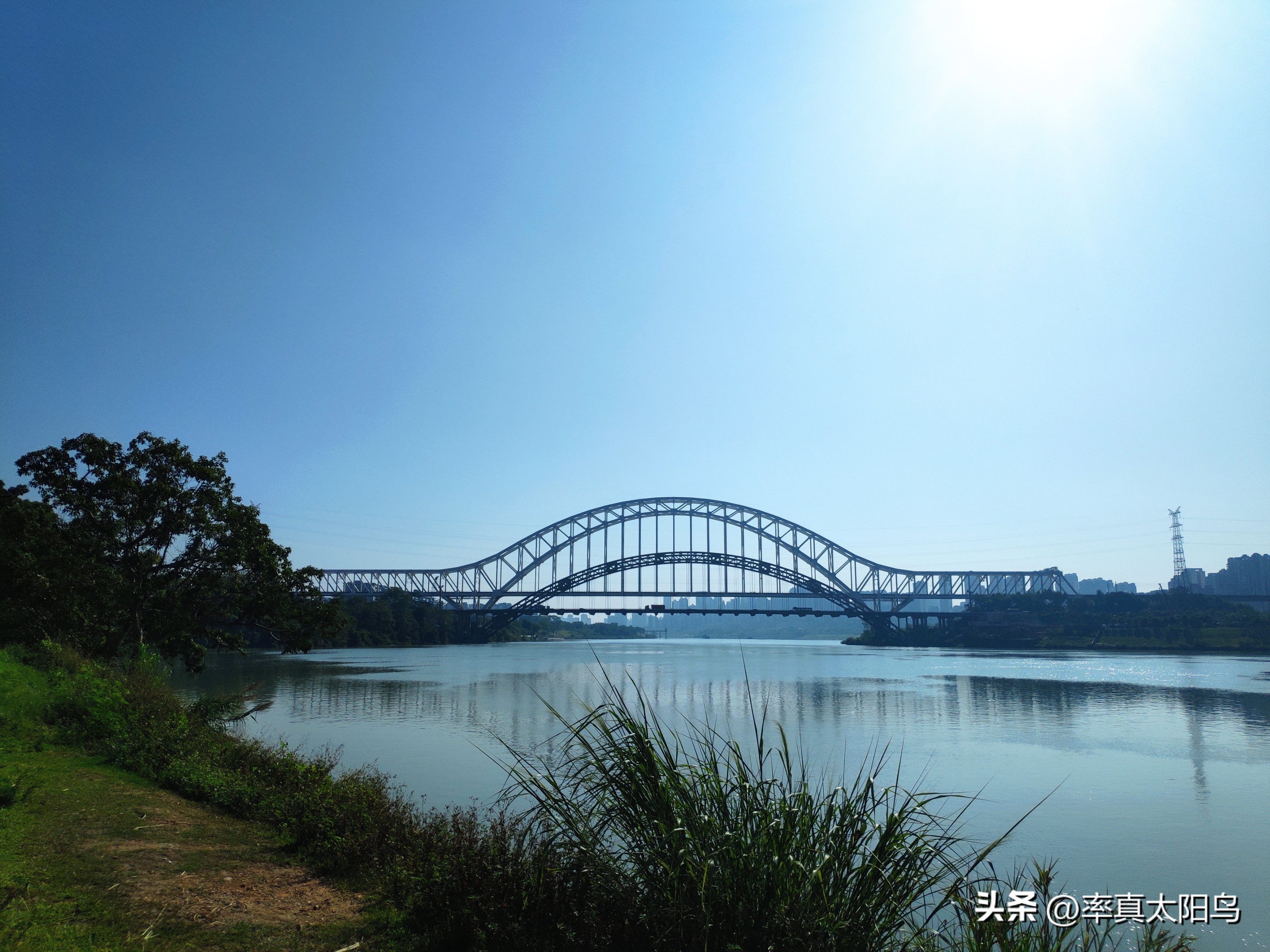 秋水之韵文章,秋水之韵抖音