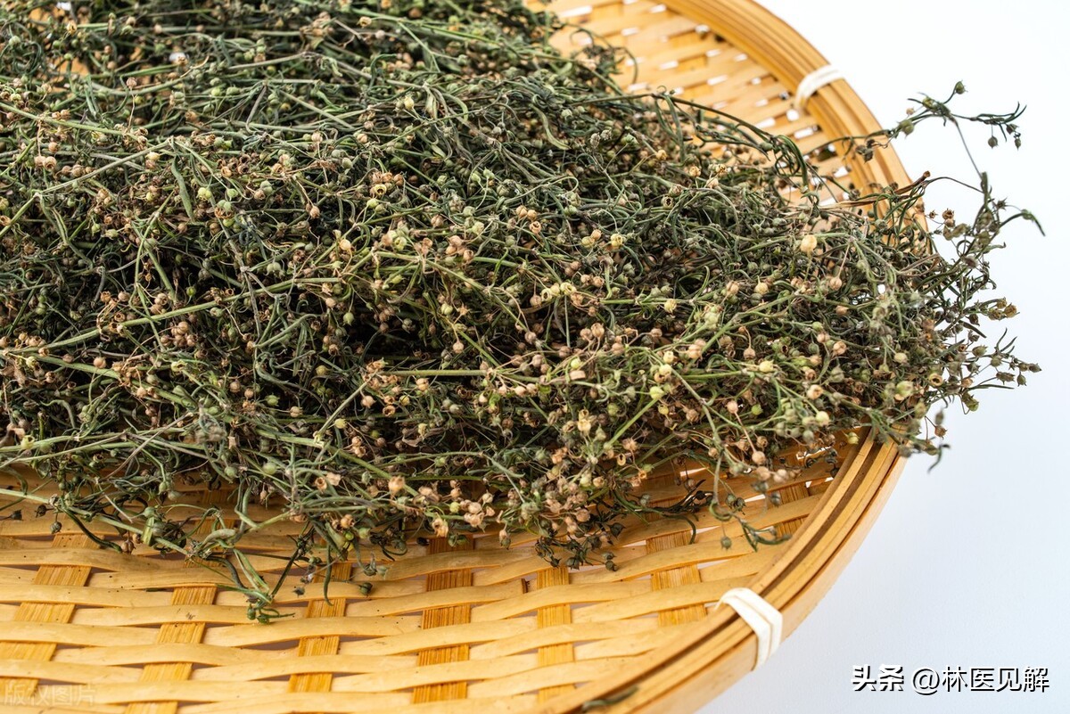 前列腺炎中医治疗应该先祛湿吗,前列腺炎清热利湿的中成药有