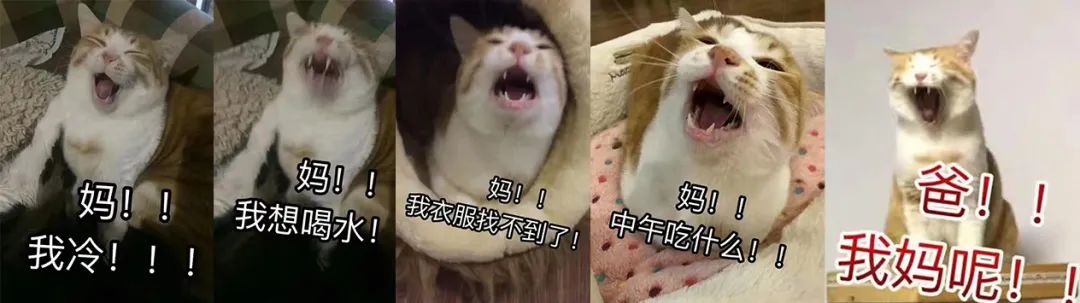 谢谢您！我爱您！