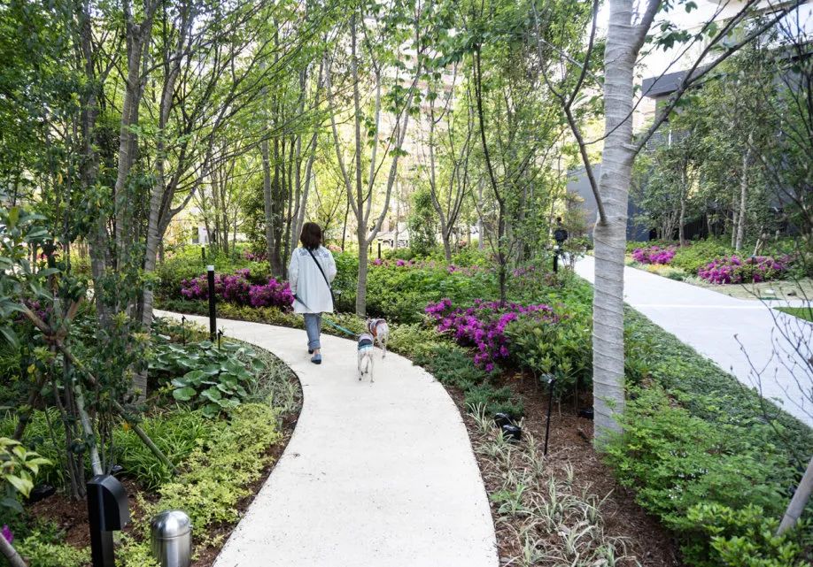 购物中心策划的经典案例,购物中心如何设计独特