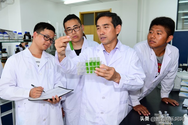 新的一年带给你吉祥和好运的春联,18副春联迎接你的专属好运