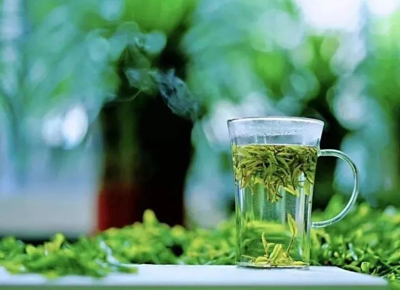 #草木有趣·谷雨茶|​且招邻院客，试煮落花泉