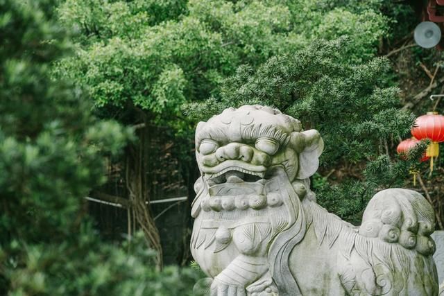 美食与美景交织,端午来顺德畅玩一夏