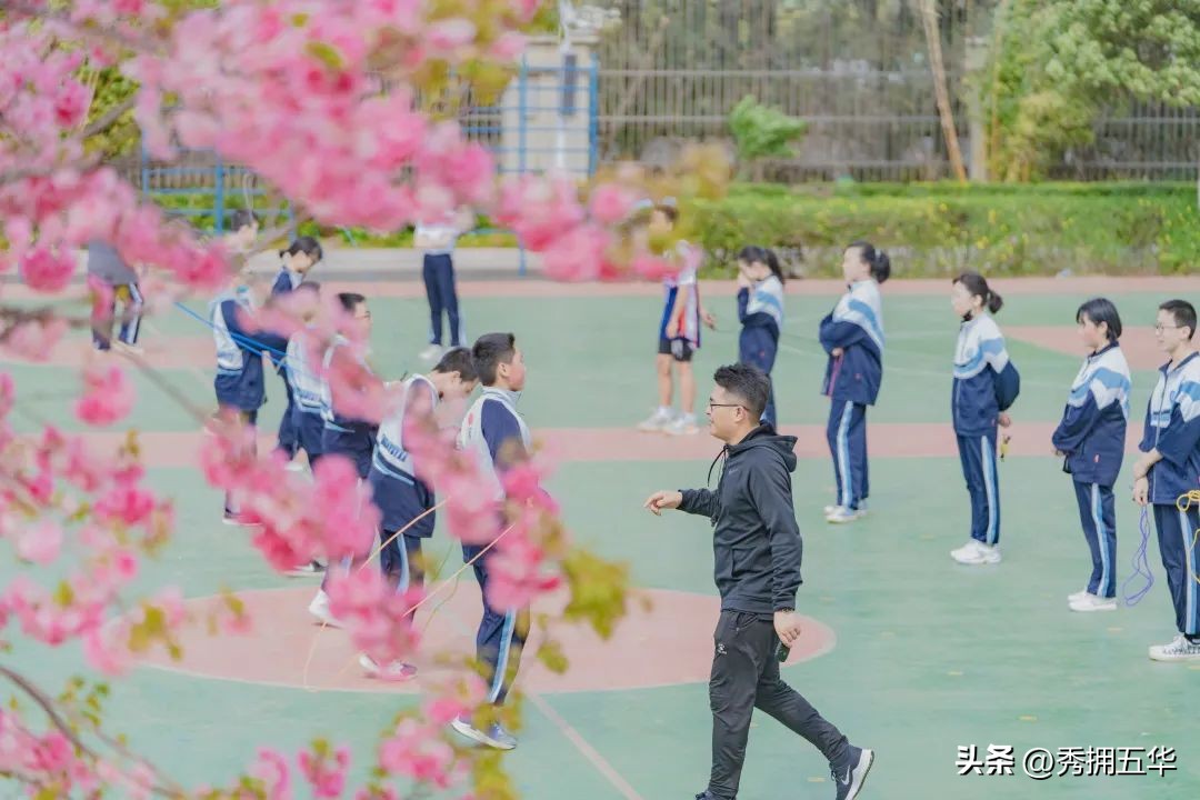 把春天装进校园里作文,把春天装进眼里