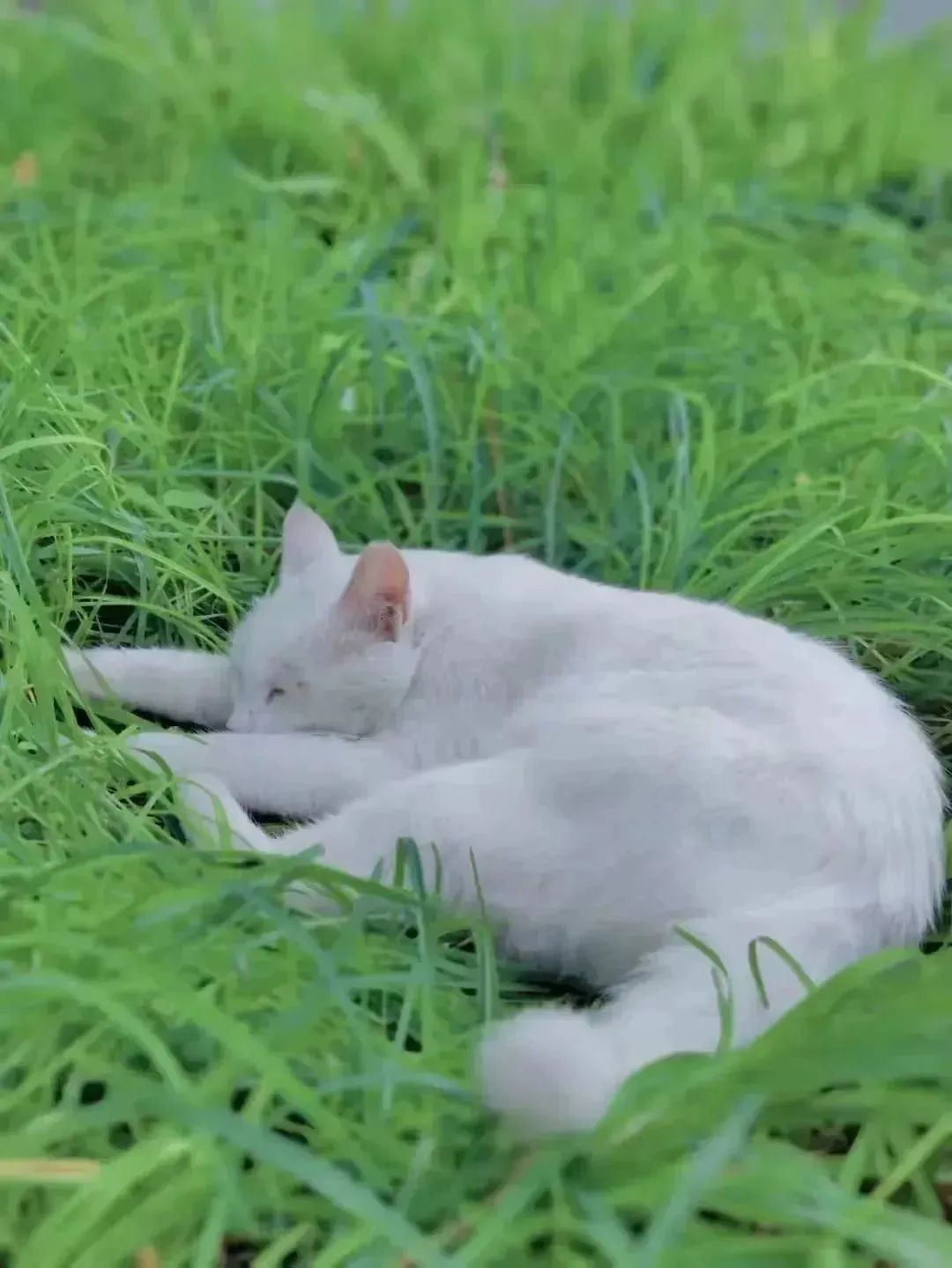 北京名校520“硬核”告白：院士领航，专业“上新”，超美校园邀你赴约！