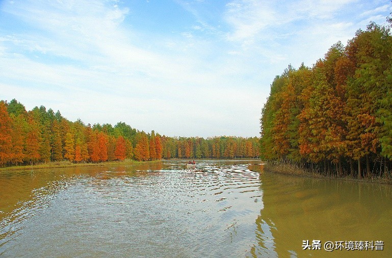 上海春季踏青亲子游好去处,上海周边城市踏青好去处推荐