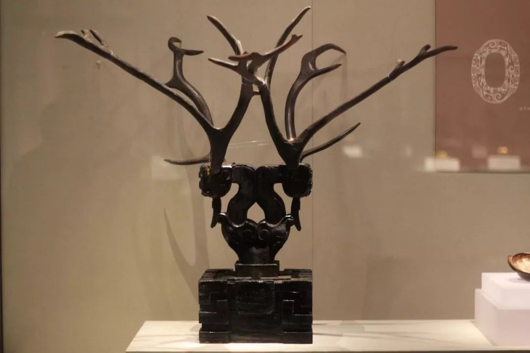 人类起源新说,人类起源新论完整版