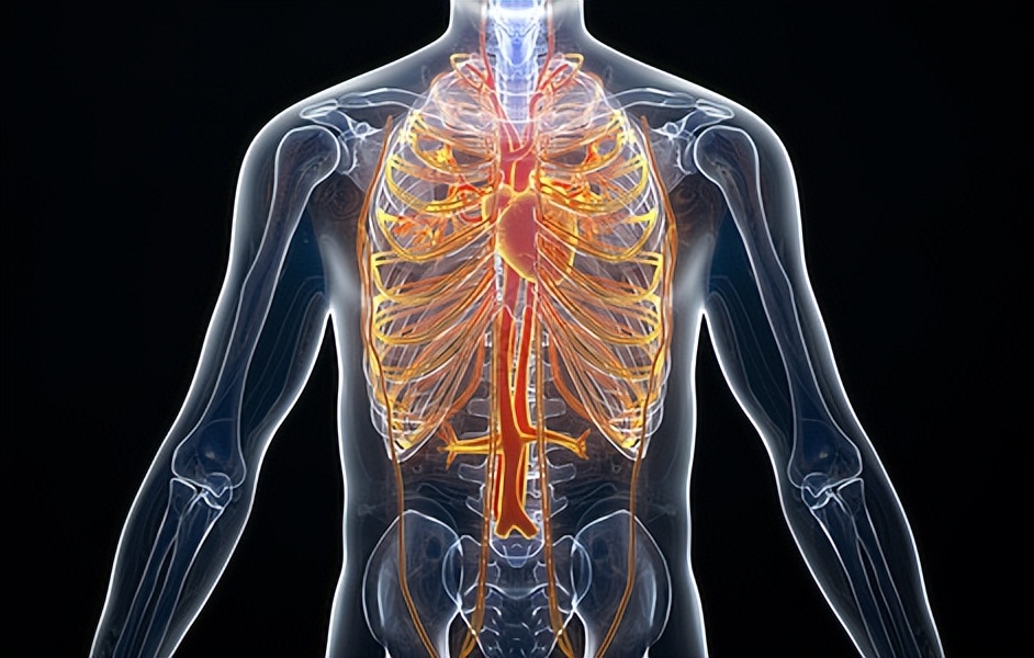 男女生理差别冷知识,男女生理冷知识科普