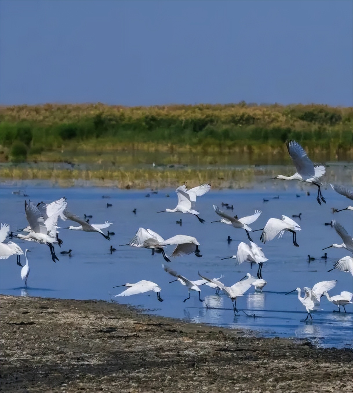 向北向北！|“美”在内蒙古