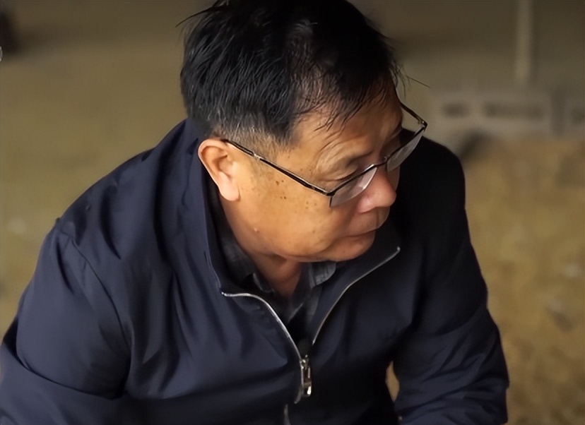 养鹅致富的成功案例,养鹅大王创业之路