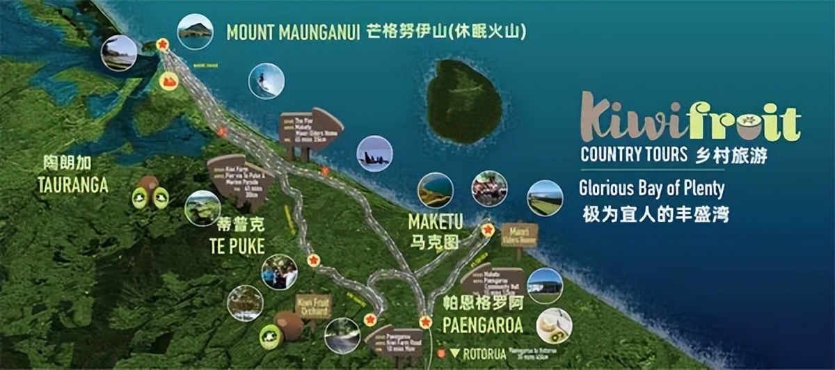 新西兰蒂普基猕猴桃特色小镇，如何实现从区域品牌到享誉世界？