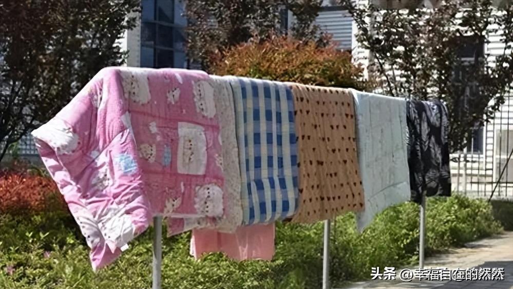 羽绒被太阳晒能杀菌吗,羽绒被洗后晒干有黄渍