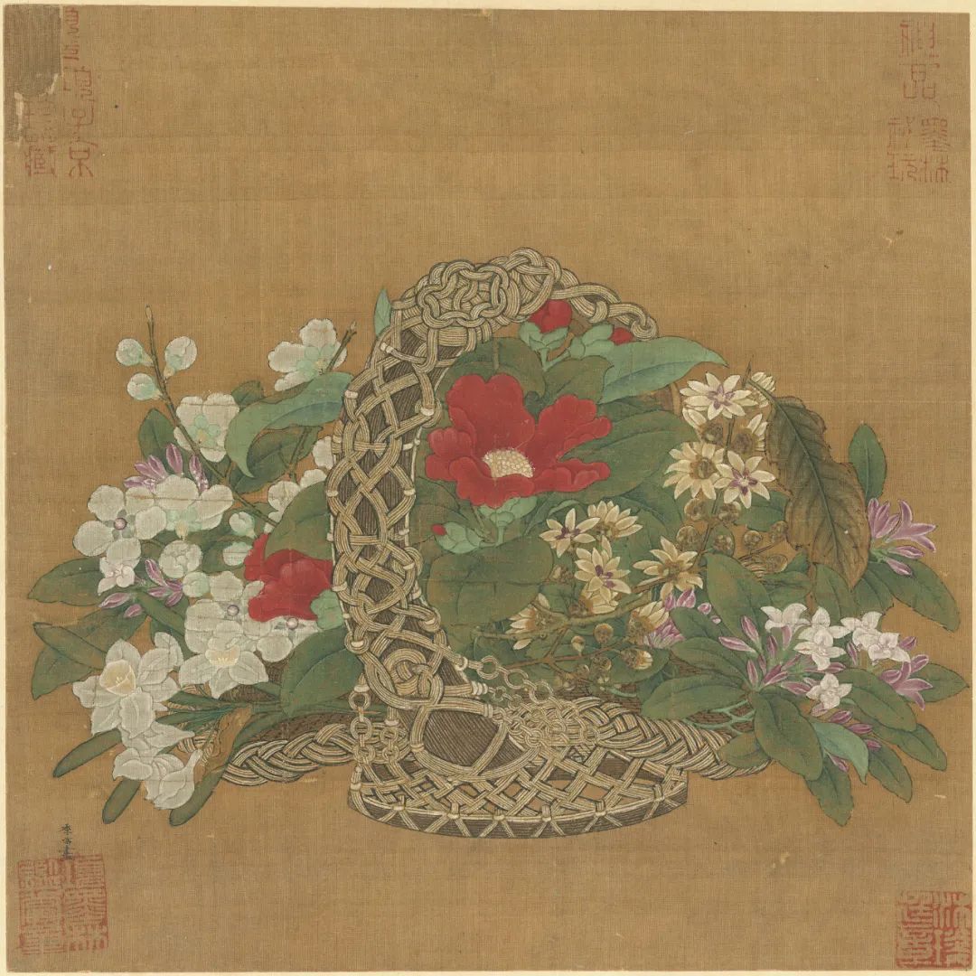 慕容看世界的视频,慕容看世界所有视频