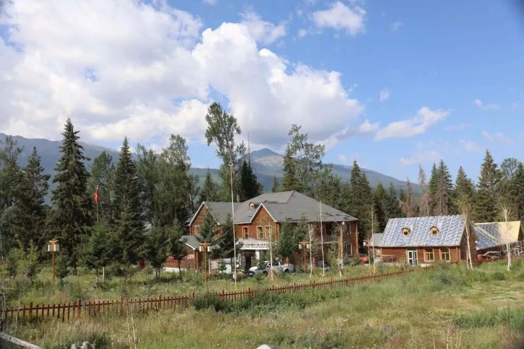 品读|张寿岭：关于春华秋实「八千湘女上天山」的修改札