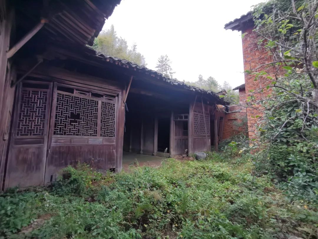 浙西南环游，喜欢龙泉，一座干干净净的山间小城