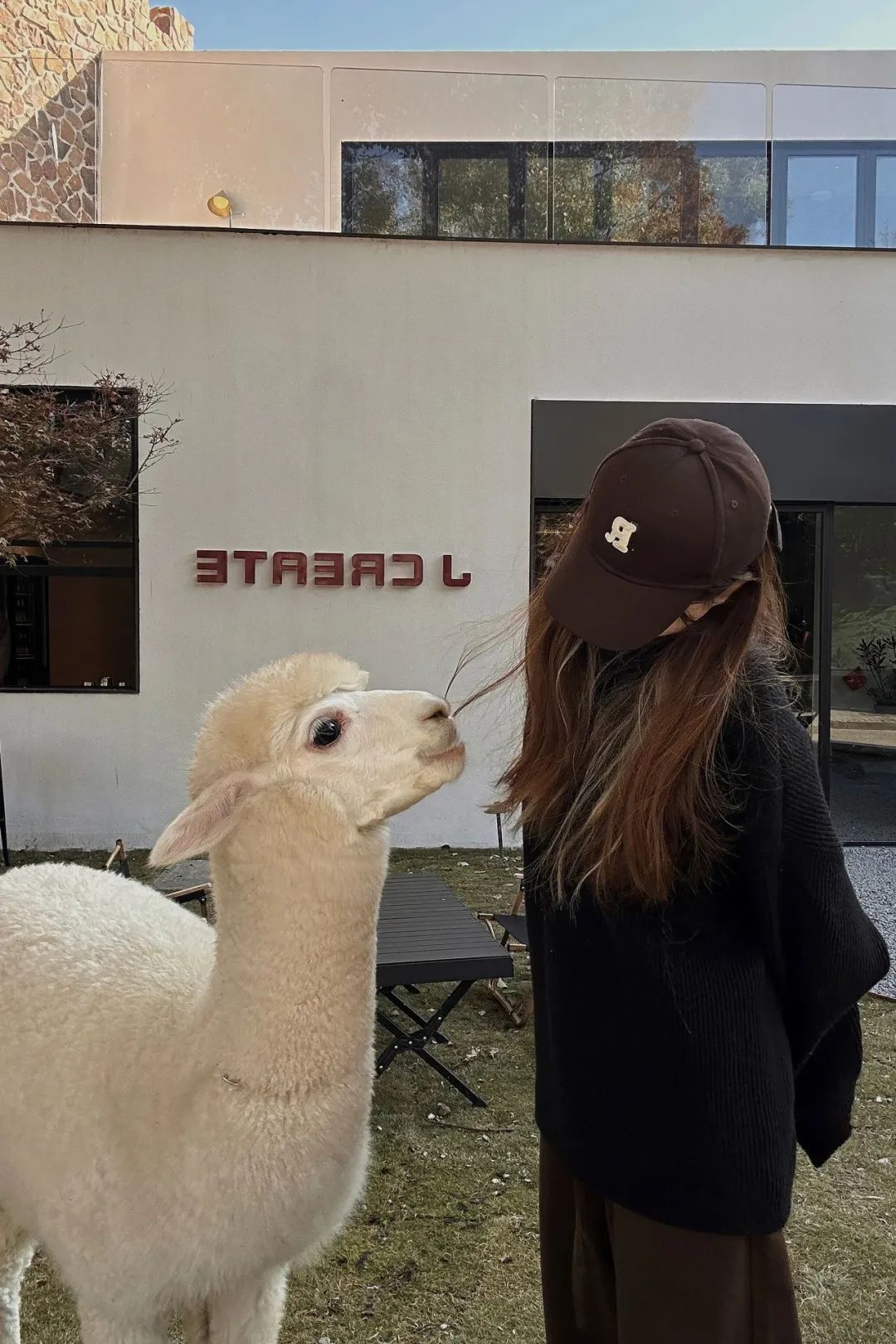 新店开业9.9元30个币速囤,新店开业9.9元50个币速囤