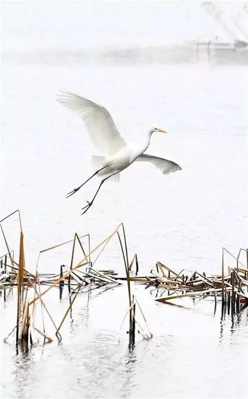 长春市南湖公园和南溪小镇,长春北湖湿地和南溪谁大