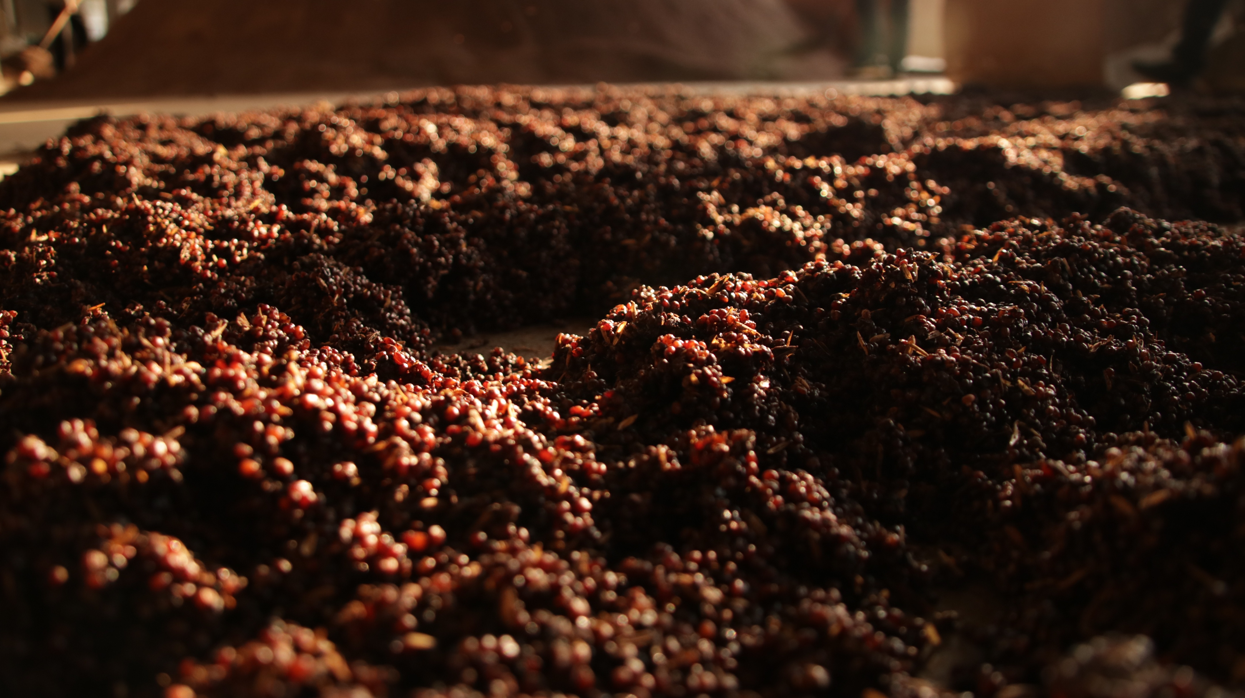 揭秘茅台镇酱酒热背后的秘密