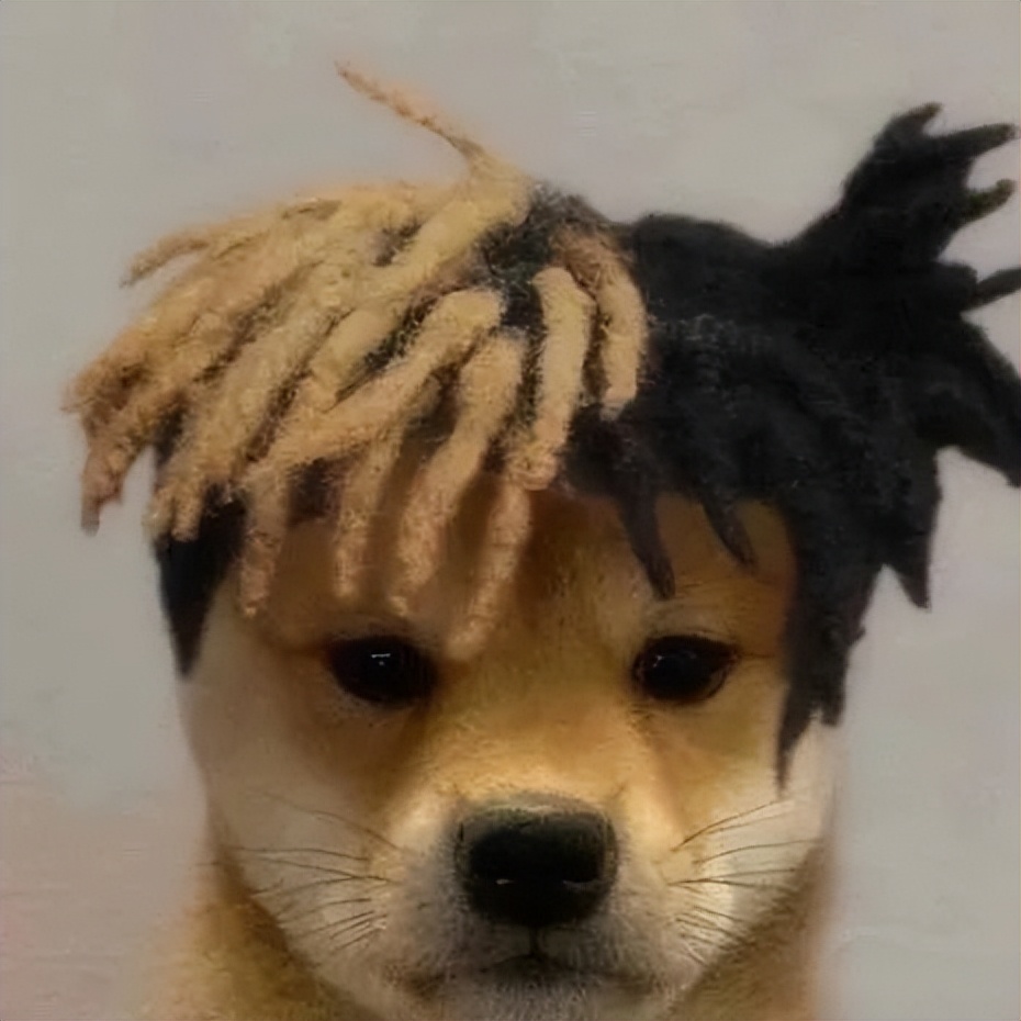 笑死！狗子1个蛋上被蚊子咬了8个包，成巨蛋小子了！