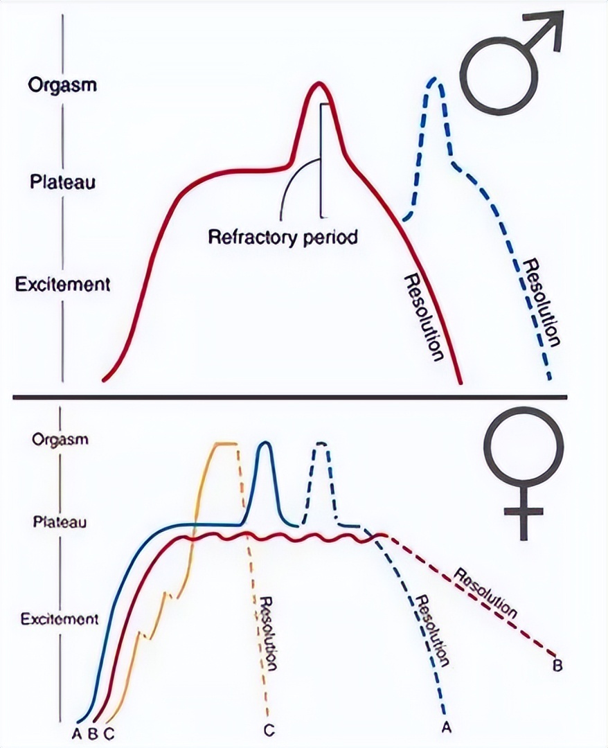为什么我们喜欢用接吻表达爱意？