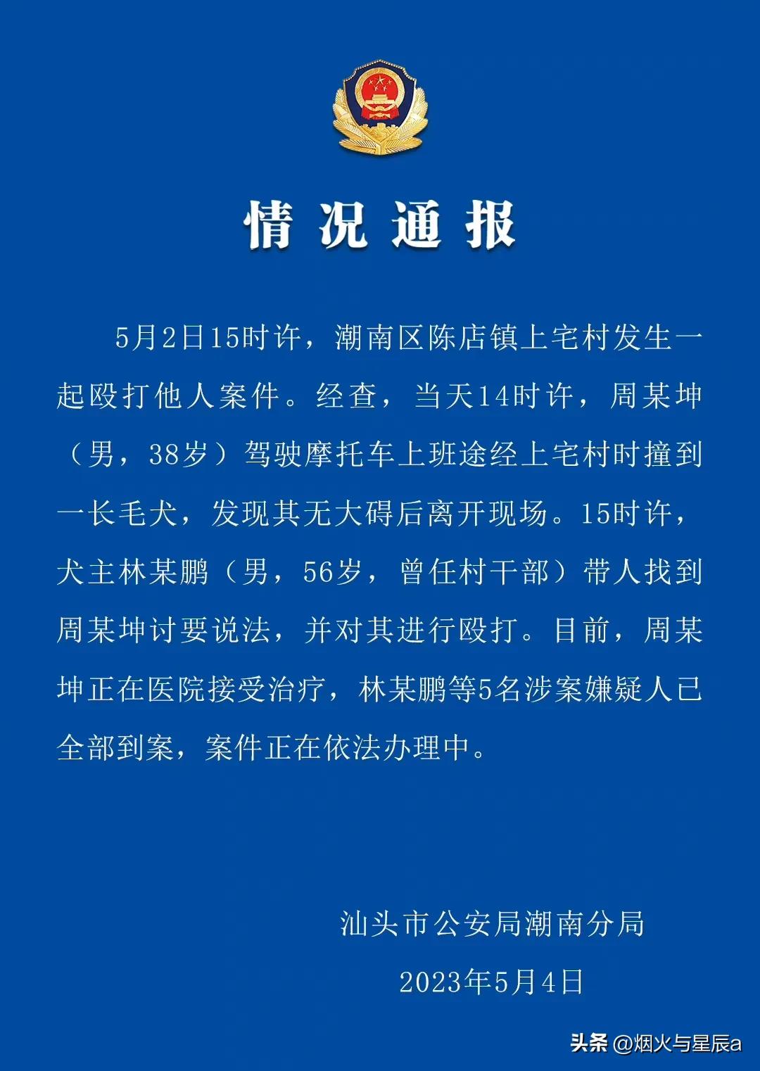 村霸恶霸被惩治,恶霸村长涉黑案