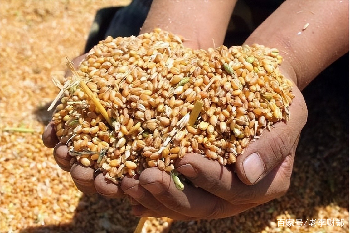 俄罗斯冬季耕地,俄罗斯冬天储备粮食