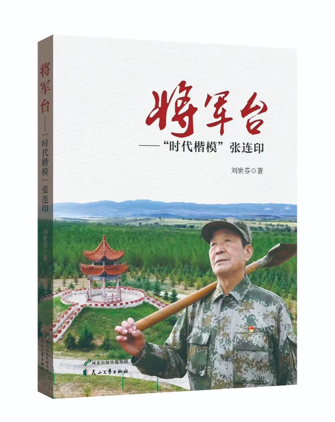 100篇优秀书评800字,优秀书评800字