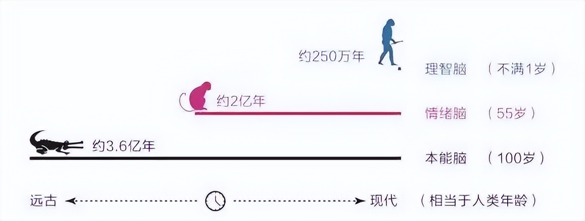 100个颠覆认知的问题,改变思维的经典问答