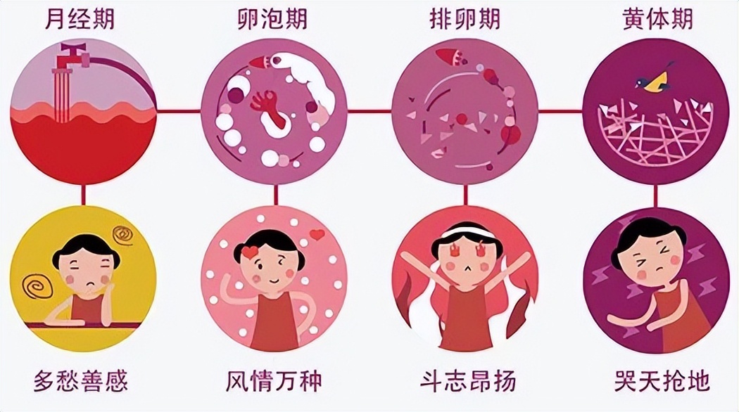 被骂上热搜的“卫生巾”，月经羞耻吗？怎么来个例假就羞耻了呢