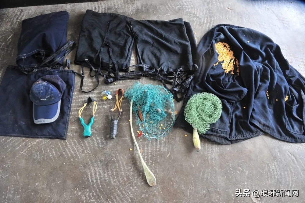 南屯派出所连续抓获三名偷鸡贼,多地流窜作案最终在沂水落网